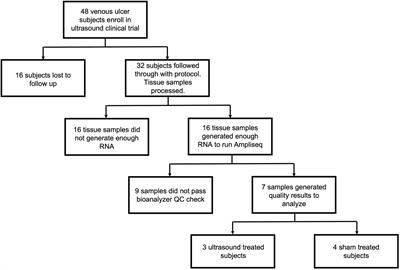 Gene expression changes in therapeutic ultrasound-treated venous leg ulcers